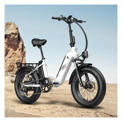 Fafrees FF20 Polar 500 W 20 Zoll Faltbares Elektrofahrrad Fat Bike 10,4 Ah*2 Doppelbatterien-Whi