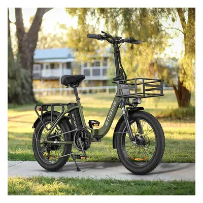 Engwe L20 SE 250W 20 Zoll E-bike Elektrofahrrad 36V 15,6Ah Akku E-klapprad Grün