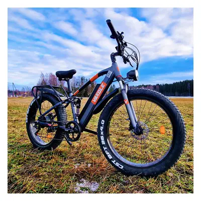 VAKOLE CO26 26 Zoll 750W Fat Bike E-Mountainbike Fully 15Ah E-Bike Herren