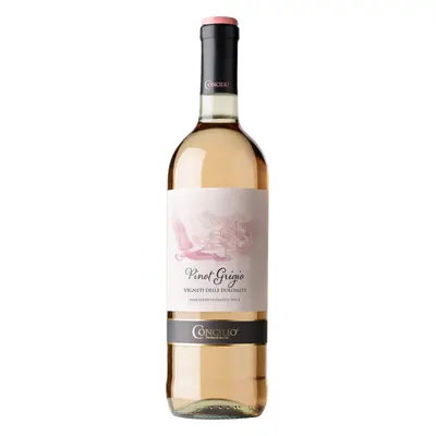 Concilio Classici Pinot Grigio delle Dolomiti Rosé IGT 2023