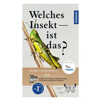 Welches Insekt ist das?