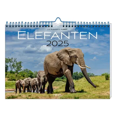 Kalender »Elefanten 2025«