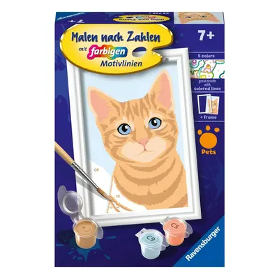 Ravensburger Malen nach Zahlen 23756 - Niedliche Katze - Kinder ab 7 Jahren