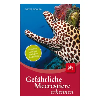 Gefährliche Meerestiere erkennen