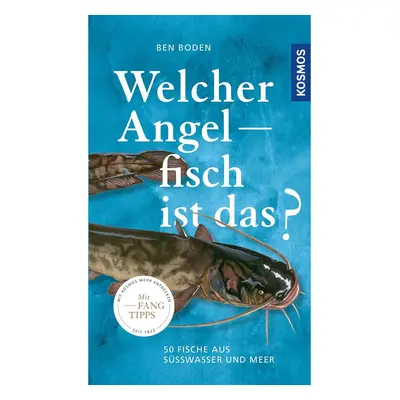 Welcher Angelfisch ist das?