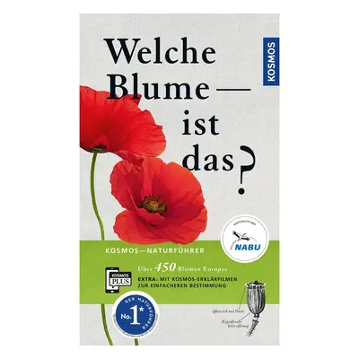 Welche Blume ist das?