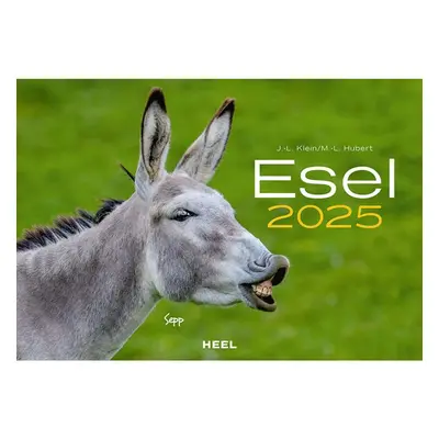 Esel-Kalender 2025