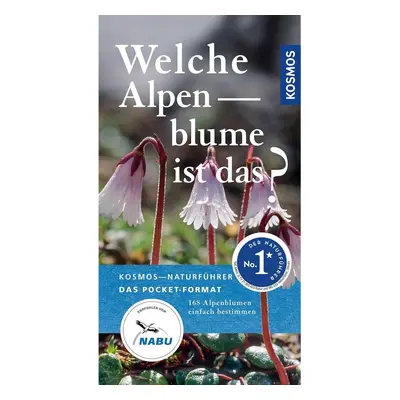 Welche Alpenblume ist das?