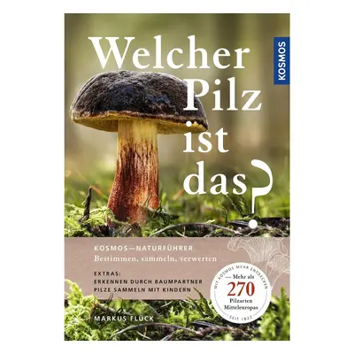 Welcher Pilz ist das?