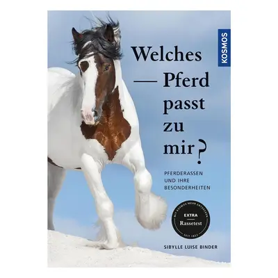 Welches Pferd passt zu mir?