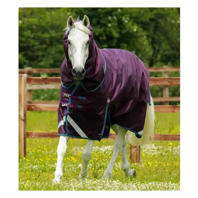 Outdoor-Decke mit Halsteil Premier Equine Titan 200 g