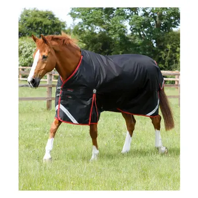 Outdoor-Decke Premier Equine Turnout Rug 450 g