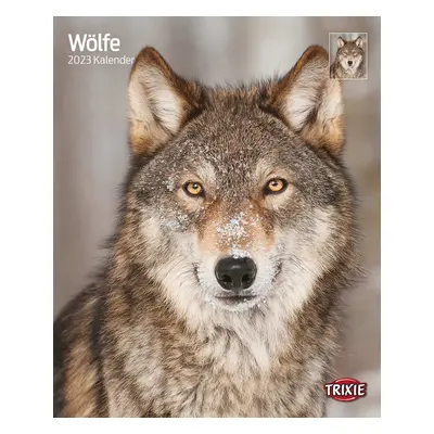 Kalender Wölfe