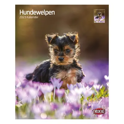 Kalender Hundewelpen