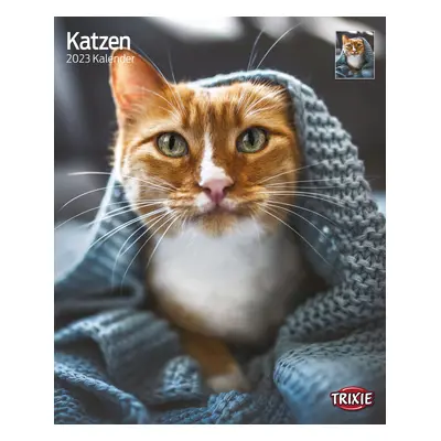 Kalender Katzen