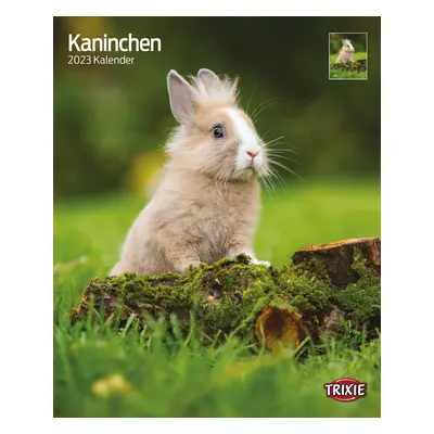 Kalender Kaninchen