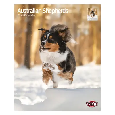 Kalender Australian Shepherd