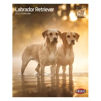 Kalender Labrador Retriever