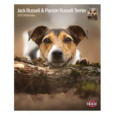 Kalender Jack Russell & Parson Russell Terrier