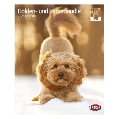 Kalender Golden-und Labradoodle