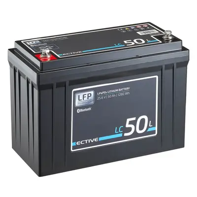 ECTIVE LC 50L BT 24V LiFePO4 Lithium Versorgungsbatterie 50 Ah (gebraucht, Zustand gut)