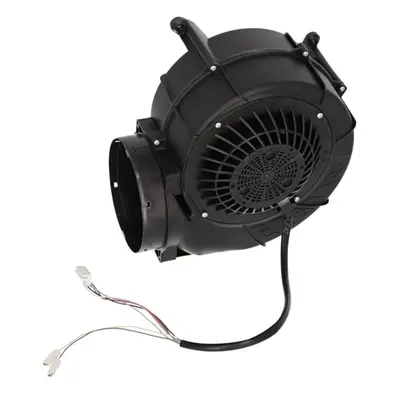 AEG Motor, Satz 4055494126