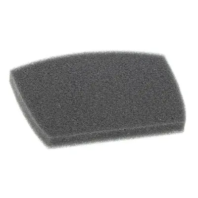 AEG Filter, Schwamm 4055418562