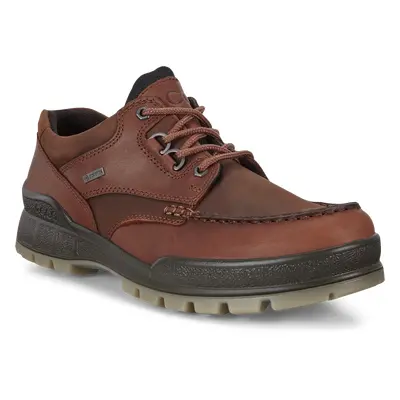 ECCO Track 25 M - Herren Gore-Tex Schuh aus Leder - Braun - Size: 39 (UK 6)