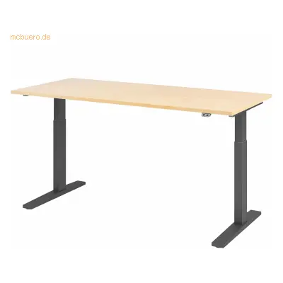 Mcbuero.de Sitz-Steh-Schreibtisch elektrisch 180x80cm Ahorn/Graphit