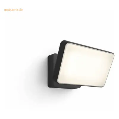 Signify Philips Hue White&Col. Amb. Discover Flutlicht schwarz 2300lm/