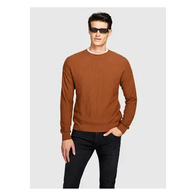 Sisley Pullover 1041T102A Braun Regular Fit