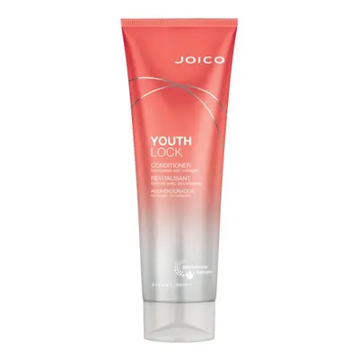 Joico Youthlock Conditioner 250 ml