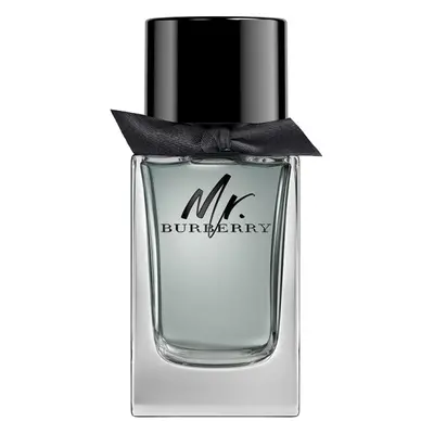 Burberry Mr. Burberry Eau de Toilette (EdT) Natural Spray 100ml