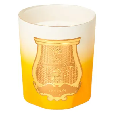 Aktion - Trudon De Oro Scented Candle 270 g