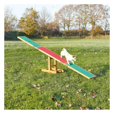 TRIXIE Dog Activity Agility Wippe 300x34x54cm