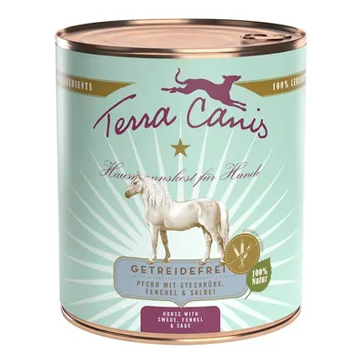 Terra Canis Getreidefrei 800g Dose Hundenassfutter Sparpaket 12 x 800 Gramm Pferd mit Steckrübe,