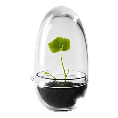 Design House Stockholm - Gewächshaus Grow - Transparent - mundgeblasenes Glas - Designer Carolin