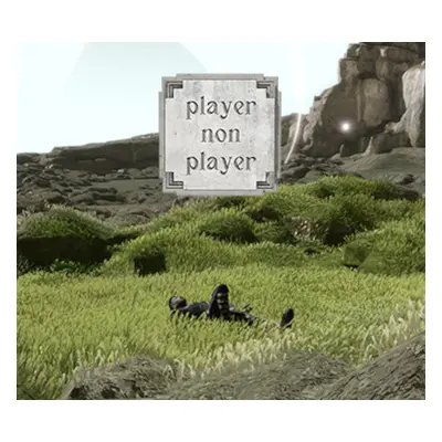 Player Non Player Steam CD Key