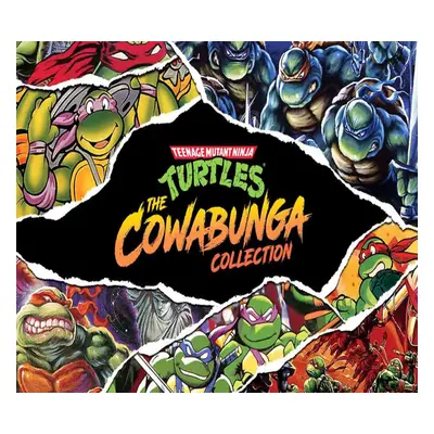 Teenage Mutant Ninja Turtles: The Cowabunga Collection EU Steam CD Key