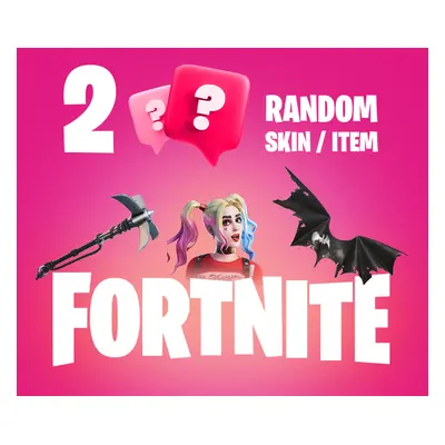 2 Random Fortnite Skins / Items PC Epic Games CD Key