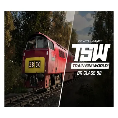 Train Sim World 2: BR Class 'Western' Loco Add-On DLC Steam CD key