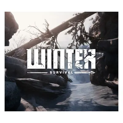 Winter Survival EU Steam CD Key