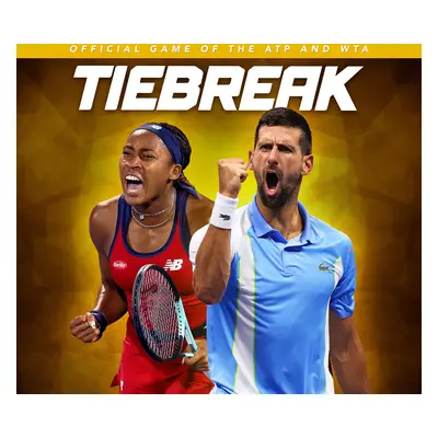 TIEBREAK: Official game of the ATP and WTA PC Steam Account