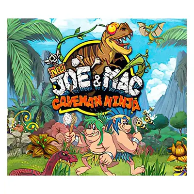 New Joe & Mac - Caveman Ninja Steam CD Key