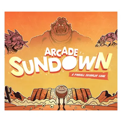 Arcade Sundown Steam CD Key