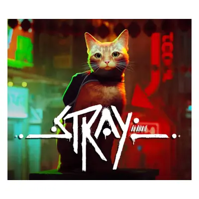 Stray EG XBOX One / Xbox Series X|S / Windows CD Key