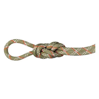 Mammut Gym Classic Rope 9.5 - Kletterseil