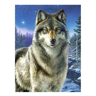 Malen nach Zahlen "Wolf", 23 x 30 cm