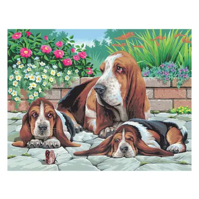 Malen nach Zahlen "Bassethunde"