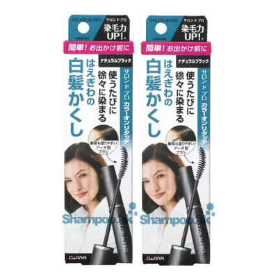 Dariya Salon De Pro - Color On Retouch Gray Hair Comb EX - 15ml - Natural Black (2ea) Set